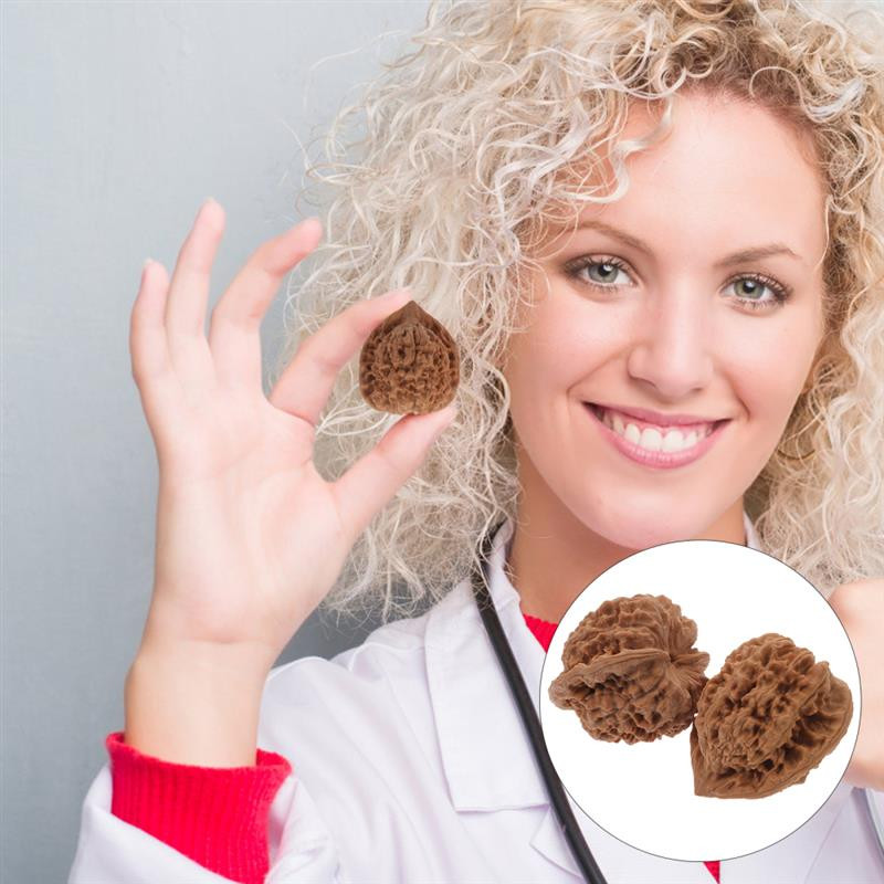 Orzech madżurski - masaż i akupresura