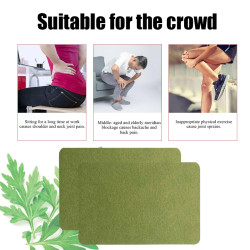 Plaster ziołowy - moksa - piołun