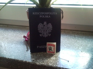 Książki o Tai Chi najmniejsza książka Książki o Tai Chi najmniejsza książka