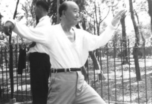 forma podwójna Tai Chi