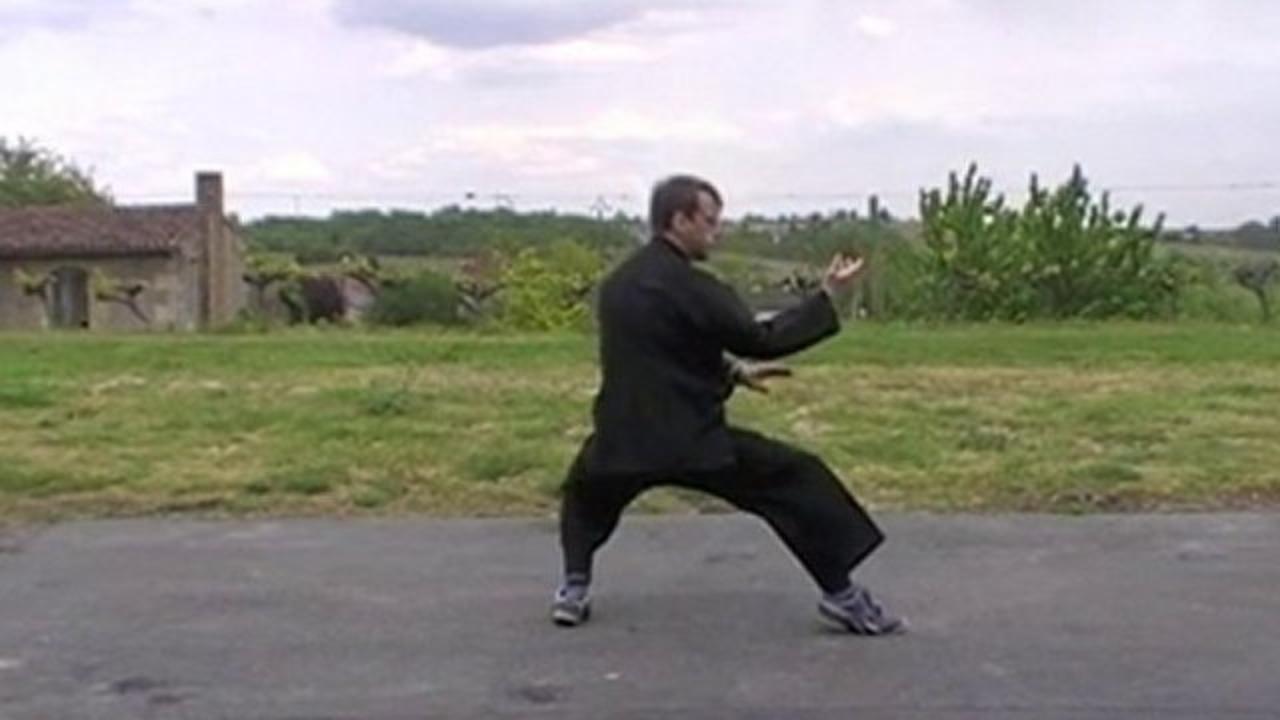 zciągnięcie w stylu Michuan